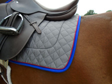 Charcoal with Royal Blue Trim and Red Piping Horse Saddle Pad Back View