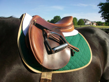Hunter Green with Tan Trim Horse Baby Pad Front View