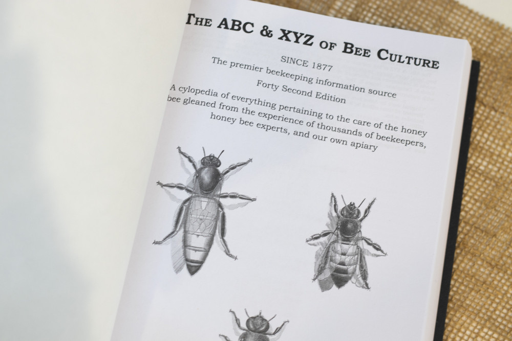 42nd-Edition-of-ABC-&-XYZ