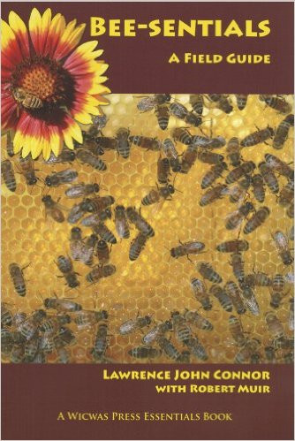 Bee-Sentials: A Field Guide 