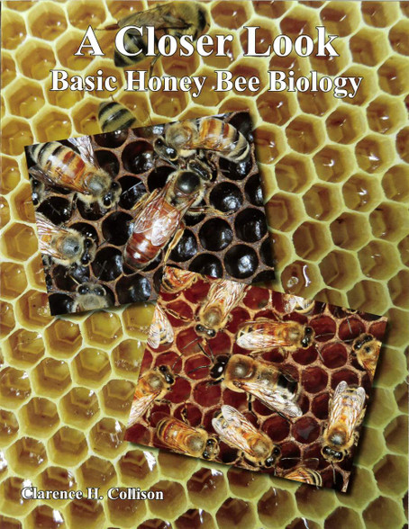A Closer Look - Basic Honey Bee Biology 