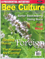 [Foreign] 36 Month Bee Culture Print and Digital Editions [Foreign]