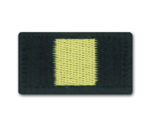 2 Royal Anglian TRF
