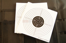 Anglo arms paper targets 50 pc x 14cm