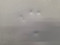 HOTPOINT 14 CUBIC FOOT REFRIGERATOR TOP FREEZER WIRE SHELVES 2 CRISPER DRAWERS COSMETIC ISSUES ON THE DOORS SEE PIC WHITE LOCATED IN OUR PORTLAND OREGONAPPLIANCE STORE SKU 24176