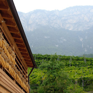 peter-dipoli-weingut-300x300.jpg
