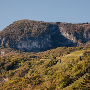 voglar-penon-300x300.jpg
