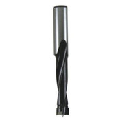 Freud BP10070R 10 mm Diameter Brad Point Bit