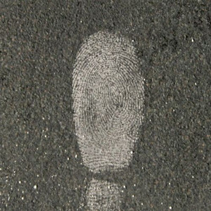 Lightning White Fingerprint Powder 60cc 1-0081