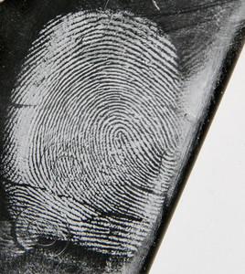 Lightning White Magnetic Fingerprint Powder 30cc 1-0161