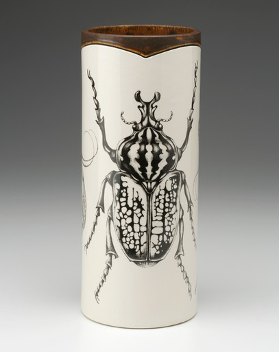 goliath beetle图片