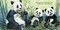Good Night Bears by Adam Gamble, Mark Jasper, Katherine Blackmore, 9781602195158