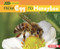 From Egg to Honeybee by Lisa Owings, 9781512409086