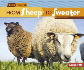 From Sheep to Sweater by Robin Nelson, 9780761385752
