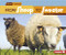 From Sheep to Sweater by Robin Nelson, 9780761385752