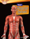 Your Muscular System by Rebecca L. Johnson, 9780761374497