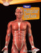 Your Muscular System by Rebecca L. Johnson, 9780761374497