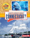 What's Great about Connecticut? by Rebecca Rissman, 9781467738576