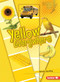 Yellow Everywhere by Kristin Sterling, 9780761356585