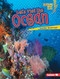 Let's Visit the Ocean by Jennifer Boothroyd, 9781512411942