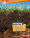 Studying Soil by Sally M. Walker, 9781467700238