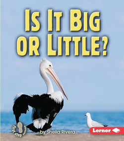 Is It Big or Little? by Sheila Rivera, 9780822554066