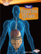 Your Digestive System - 9781580139601 by Rebecca L. Johnson, 9781580139601