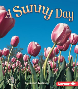 A Sunny Day by Robin Nelson, 9780822519652