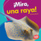 ¡Mira, una raya! (Look, a Ray!) (Spanish Edition) by Tessa Kenan, 9781512428674