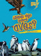 ¿Sabes algo sobre aves? (Do You Know about Birds?) (Spanish Edition) by Buffy Silverman, 9780761393665