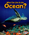 What Can Live in the Ocean? by Sheila Anderson, 9780761356738