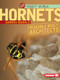 Hornets (Incredible Insect Architects) by Sandra Markle, 9780822589839