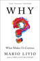 Why? (What Makes Us Curious) by Mario Livio, 9781476792101