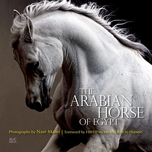 The Arabian Horse of Egypt by Nasr Marei, HRH Princess Alia Bint Al Hussein, 9789774166655