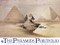 The Pyramids Portfolio (Collector's Edition) by David Roberts, R.A., 9789774246333