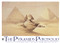 The Pyramids Portfolio (Gift Edition) by David Roberts, R.A., 9789774164293
