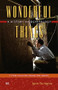 Wonderful Things: A History of Egyptology, Volume 3 (From 1914 to the Twenty-first Century) by Jason Thompson, 9789774167607
