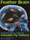 Feather Brain by Drew Chicone, 9780811711968