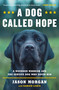 A Dog Called Hope (A Wounded Warrior and the Service Dog Who Saved Him) by Jason Morgan, Damien Lewis, 9781476797014
