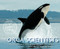 The Orca Scientists by Kim Perez Valice, 9780544898264