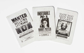 Harry Potter: Wanted Posters Pocket Notebook Collection (Set of 3) by Insight Editions, 9781683833574