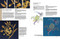 The Royal School of Needlework Book of Embroidery (A Guide To Essential Stitches, Techniques And Projects) by Various, 9781782216063