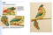 The Royal School of Needlework Book of Embroidery (A Guide To Essential Stitches, Techniques And Projects) by Various, 9781782216063