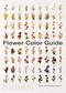 Flower Color Guide by Taylor Putnam, Michael Putnam, 9780714877556