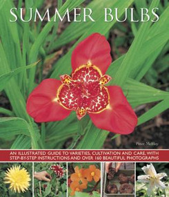 Summer Bulbs (An Illustrated Guide To Varieties, Cultivation And Care, With Step-By-Step Instructions And Over 160 Beautiful Photographs) by Peter McHoy, 9781780193120