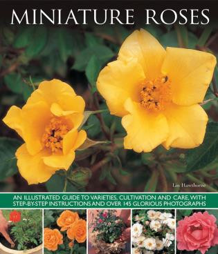 Miniature Roses (An Illustrated Guide To Varieties, Cultivation And Care, With Step-By-Step Instructions And Over 145 Glorious Photographs) by Lin Hawthorne, 9781780193175