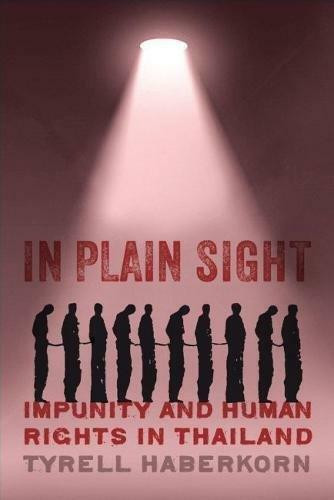 In Plain Sight (Impunity and Human Rights in Thailand) by Tyrell Haberkorn, 9780299314408