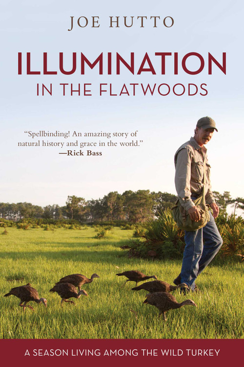 Illumination in the Flatwoods (A Season Living Among the Wild Turkey) by Joe Hutto, 9781493036967
