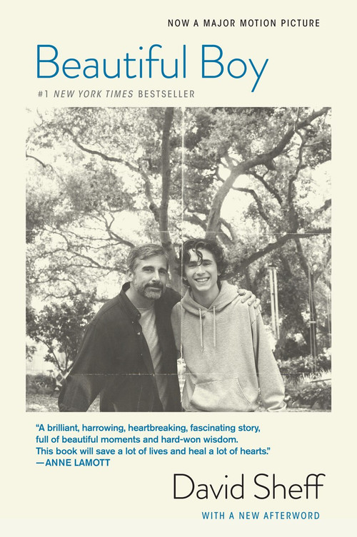Beautiful Boy (Tie-In) (A Father's Journey Through His Son's Addiction) by David Sheff, 9781328974716