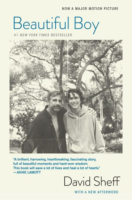 Beautiful Boy (tie-In) (A Father's Journey Through His Son's Addiction) by David Sheff, 9781328974716